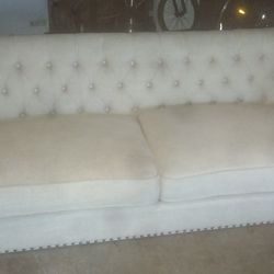Nice Sofa $100