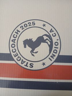 Coachella 2025 Box