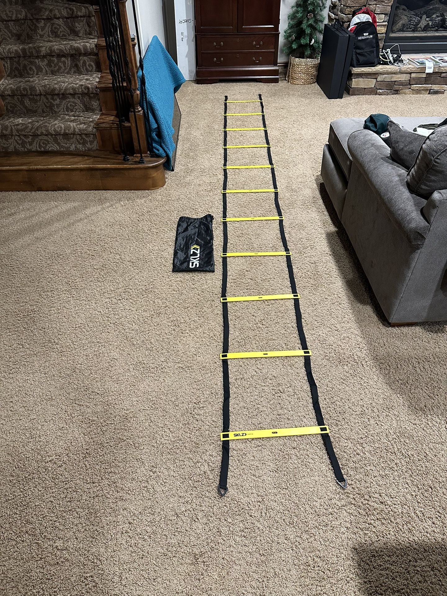 Agility Ladder