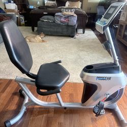 Recumbent Bike