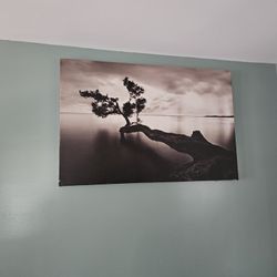Canvas Black And White Photo