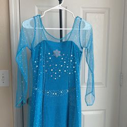 Elsa Costume Blue Dress