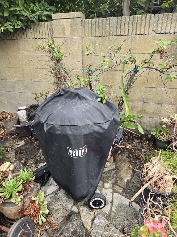 🔥 Weber Original Kettle Charcoal Grill + Cover + Chimney Starter