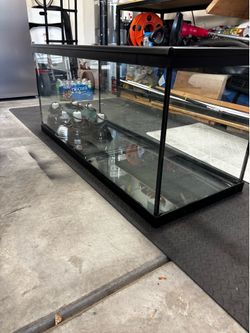Snake tank and equipment $100 OBO