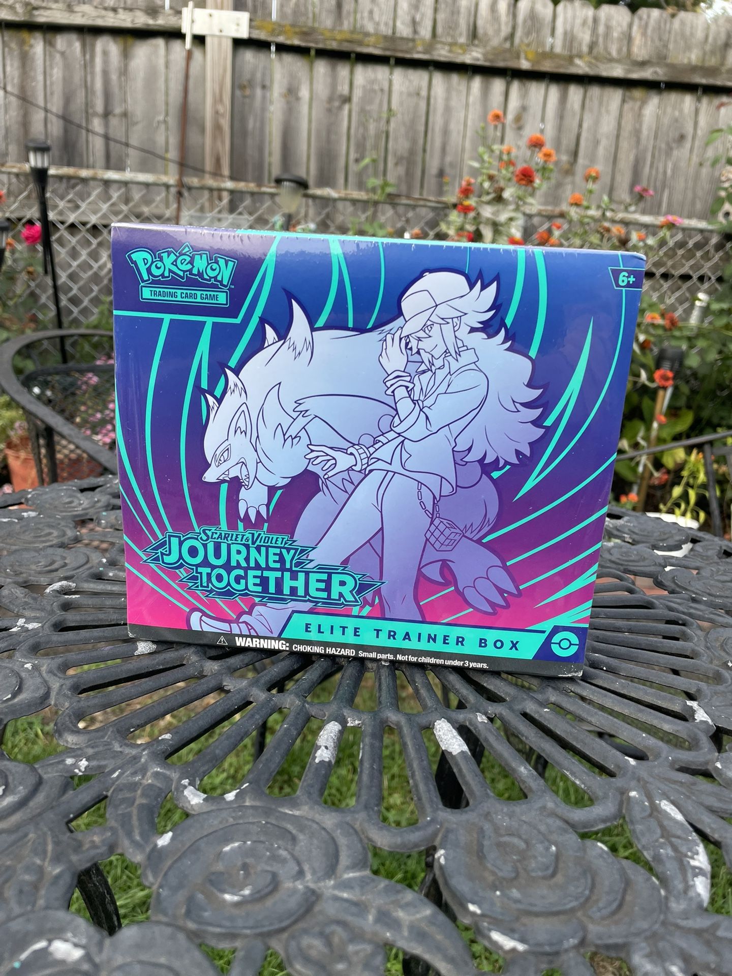 Pokemon Journey Together 