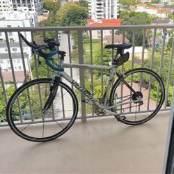 Specialized Roubaix Road Bike