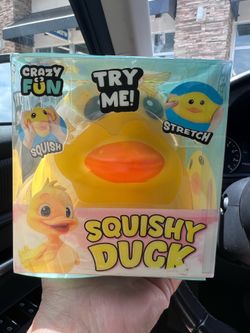 Duck Squishy $15 FIRM
