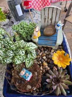 SerendipiTEA, Miniature Garden