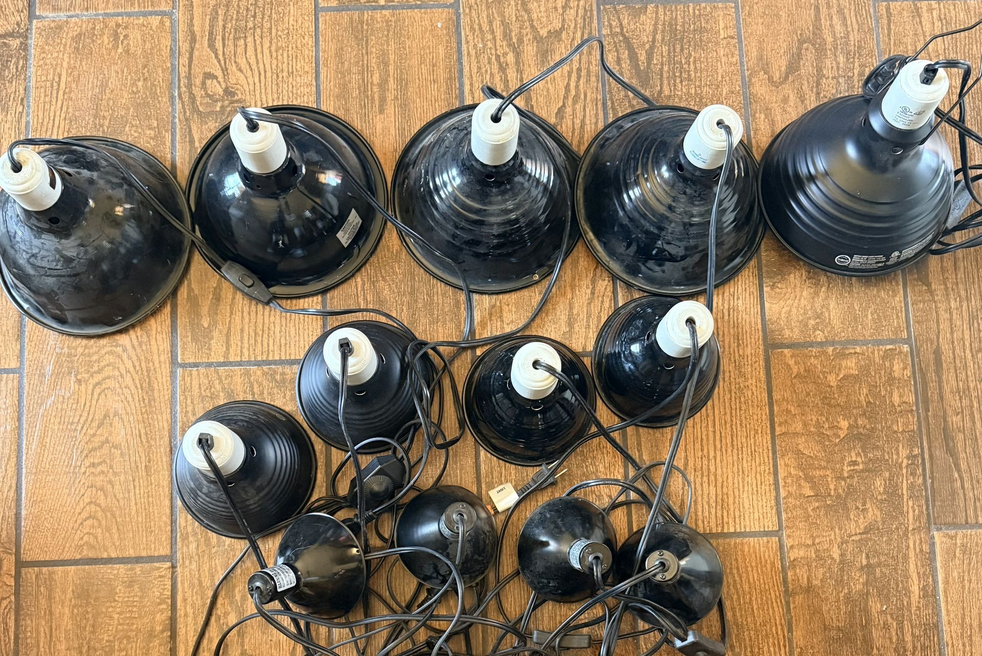 Reptile Lamp Lot