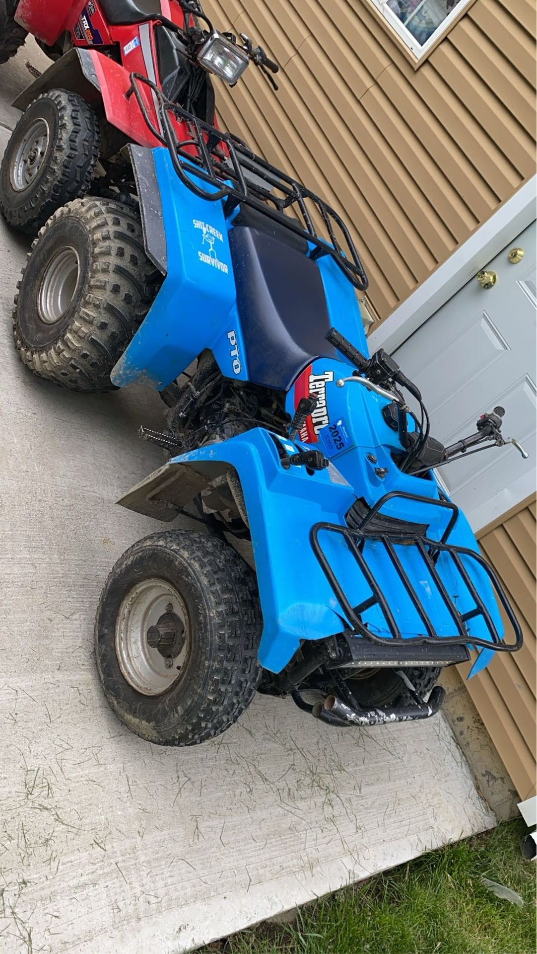 98 Yamaha Terrapro