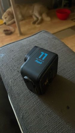 GoPro 11 mini