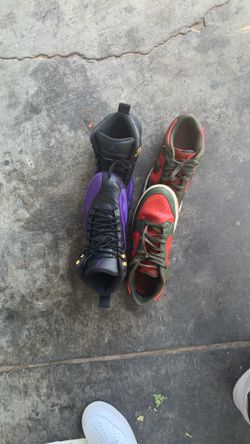 Jordan 12/nike dunks