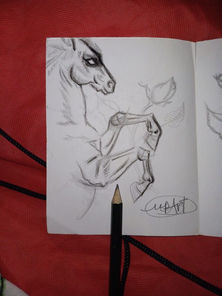 HORSE SKETCH HAND DRAWN ON PAPER UNFRAMED ORLANDO AREA
