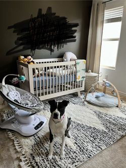 Crib and newton mattress