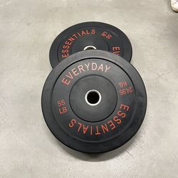 55LB Barbell Bumper Plate Set