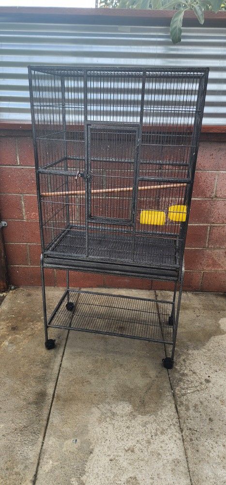 Bird Cage ,,