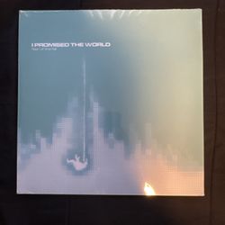 I Promised The World - Fear Of The Fall Vinyl Record