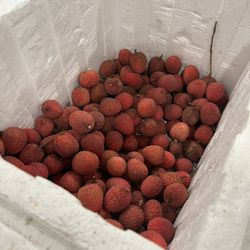 Fresh Lychees For Sale By The Pound! $9