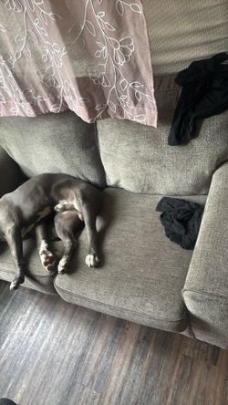 Couch