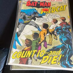 Batman And Wildcat Comic