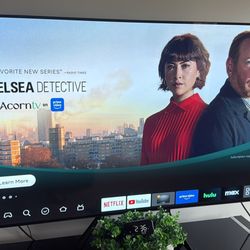 LG OLED 65” Tv