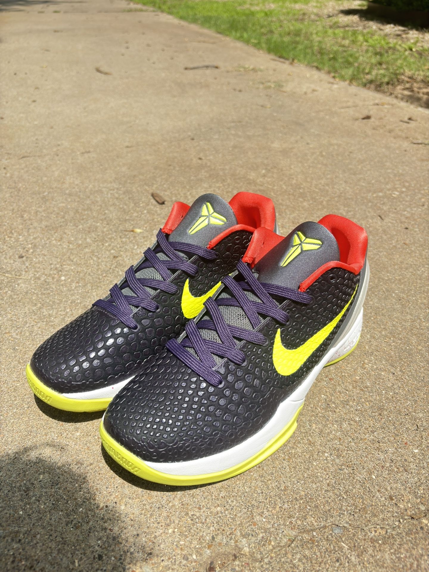 Kobe 5 