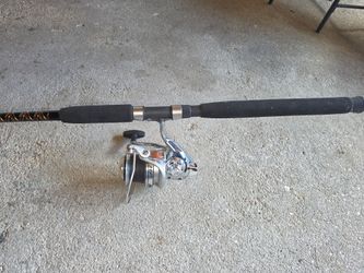 Fishing rod with reel