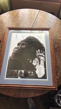 Farewell Ivan