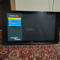 Panasonic  42" Plasma Screen TV