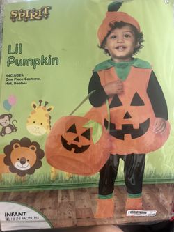 18-24 M Pumpkin Costume