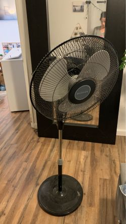 Fan