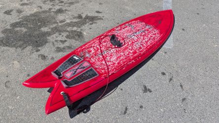 Channel Islands classic fish