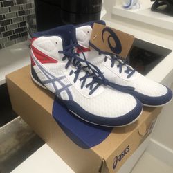 Wrestling Shoes 