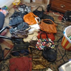 Ladies Purses/Evening Bags/Leather