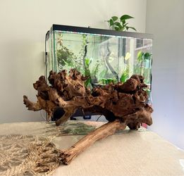 XL Natural Aquarium Driftwood - One-of-a-Kind Aquascape Centerpiece