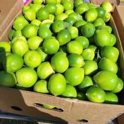 Seedless limes 