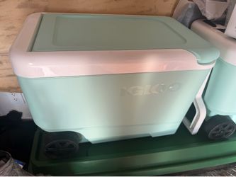 Igloo (New)
