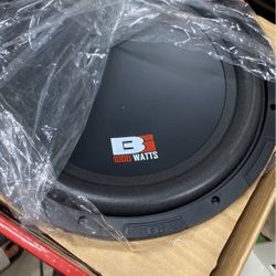 1000 Watts 12in Subwoofer 