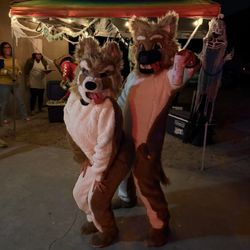 Custom Dog Costume Full Body Suit