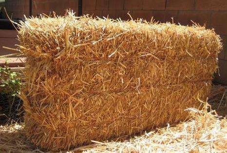 One Hay Bale Available 