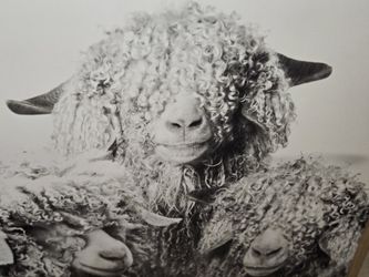 Baby Picture