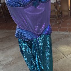 Mermaid Costume 