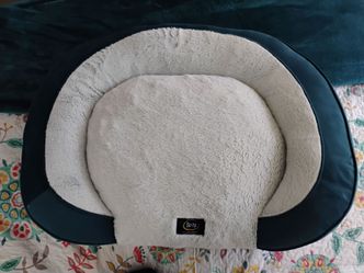 Large Serta Oval Sofa Pet Bed