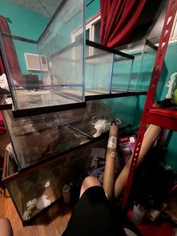 Glass Aquarium Fish Tanks