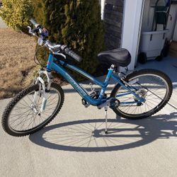 Schwinn ranger top 24 blue