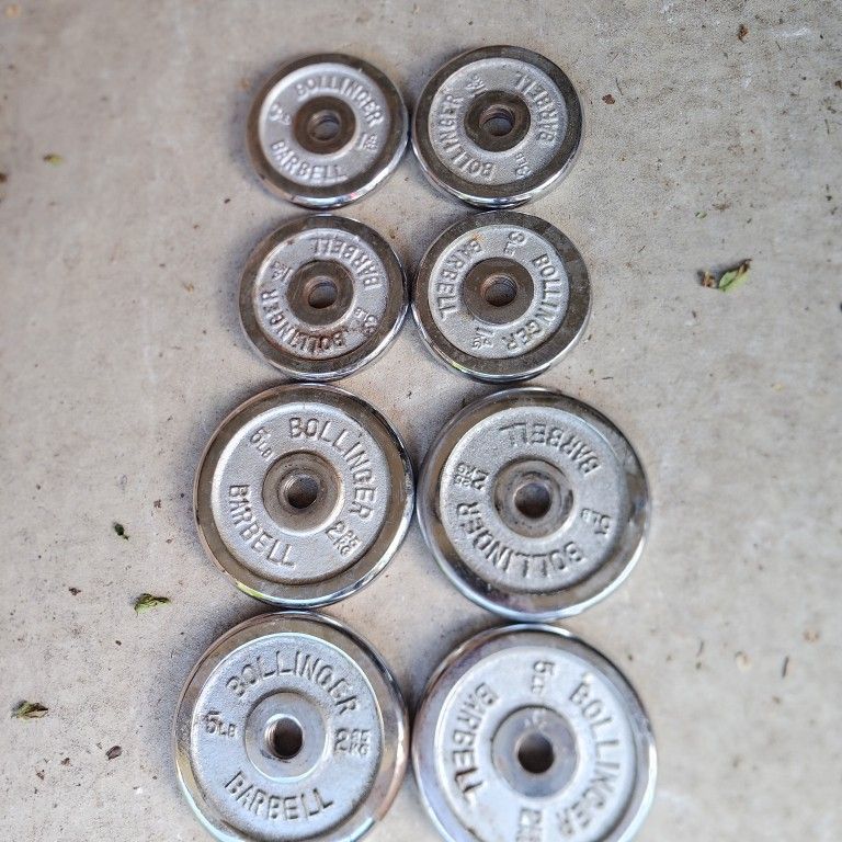 Chrome Screw-on Standard 1inch Weight Plates-