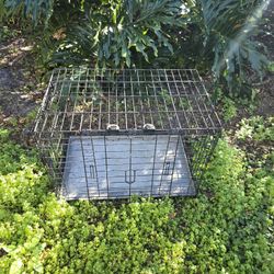Dog Crate