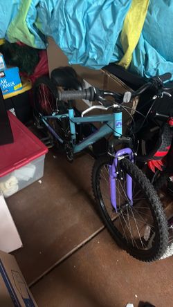 24in Nishiki Bike