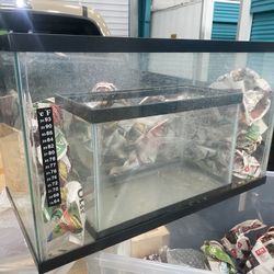 Multiple Fish Tanks For Sale 