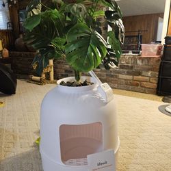 Title:Lifewit Litter Box Cat with Faux Plant & Scoopi